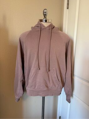 Madewell Hoodie in Mauve Pink
